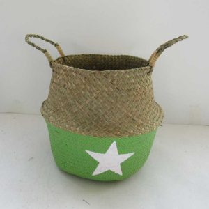sea grass belly plant pot