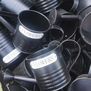 garden water can flower pot