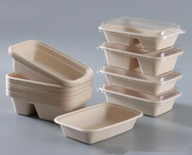 bagasse biodegradable containers takeaway box