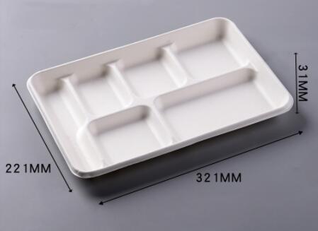 Eco-friendly bagasse biodegradable compostable containers 6 compartment tray