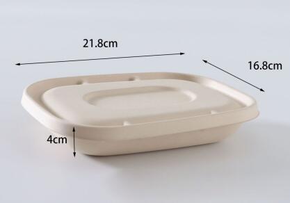 bagasse biodegradable containers takeaway box