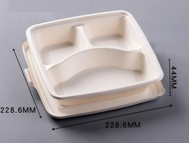 9" bagasse biodegradable containers 3 compartment tray