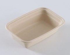 bagasse biodegradable containers takeaway box