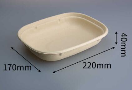 bagasse biodegradable containers 850ml takeaway box