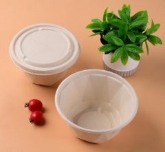 bagasse biodegradable containers takeaway box