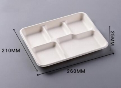 bagasse biodegradable compostable containers shallow 5 compartment tray