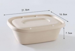 bagasse biodegradable containers takeaway box