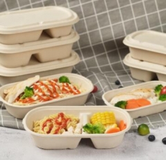 bagasse biodegradable containers takeaway box