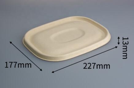 bagasse lid use for biodegradable containers