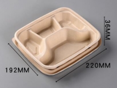 bagasse biodegradable containers 4 compartment tray