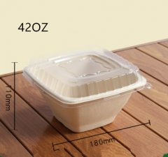 24oz disposable square bowl bagasse biodegradable bowl