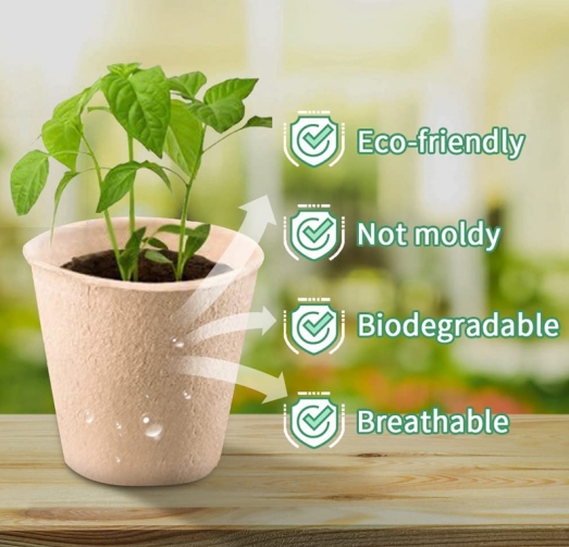 biodegradable plant starting pots nursery pot for flower vegetable tomato saplings & herb seed germination