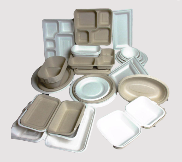 Biodegradable Bagasse Containers