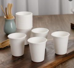 bagasse biodegradable cup disposable paper cup