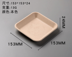 disposable plate bagasse biodegradable tray