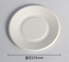 disposable plate bagasse pulp biodegradable plate 5