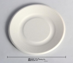 disposable plate bagasse pulp biodegradable plate 5