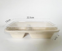 disposable delivery food containers American styles bagasse pulp biodegradable fast food box 1000ml