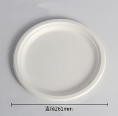 disposable plate bagasse pulp biodegradable plate 6