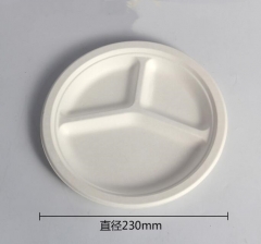 bagasse pulp 3 compartment plate disposable food plate 9