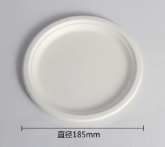 disposable plate bagasse pulp biodegradable plate 6