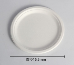 disposable plate bagasse pulp biodegradable plate 6